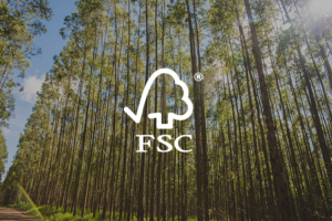 Você sabia que somos uma empresa certificada pela FSC?